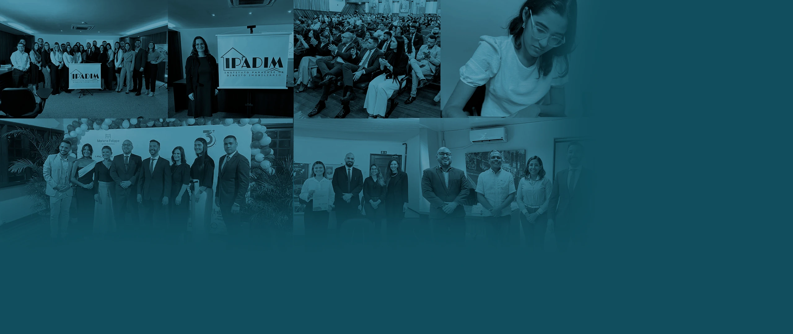 Cursos
